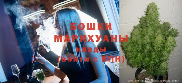 дурь Алзамай