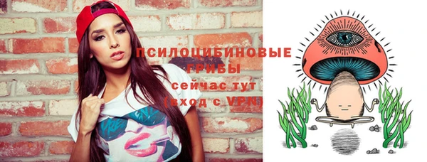 дурь Алзамай