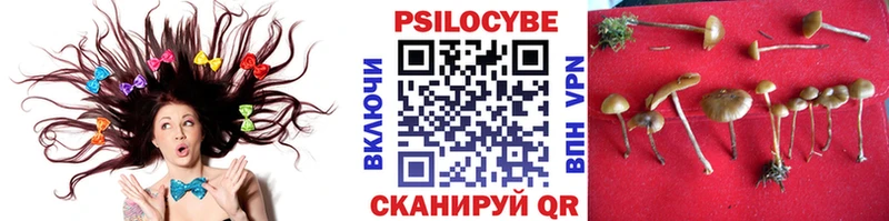 Псилоцибиновые грибы Psilocybe  мега ссылка  Новоуральск 