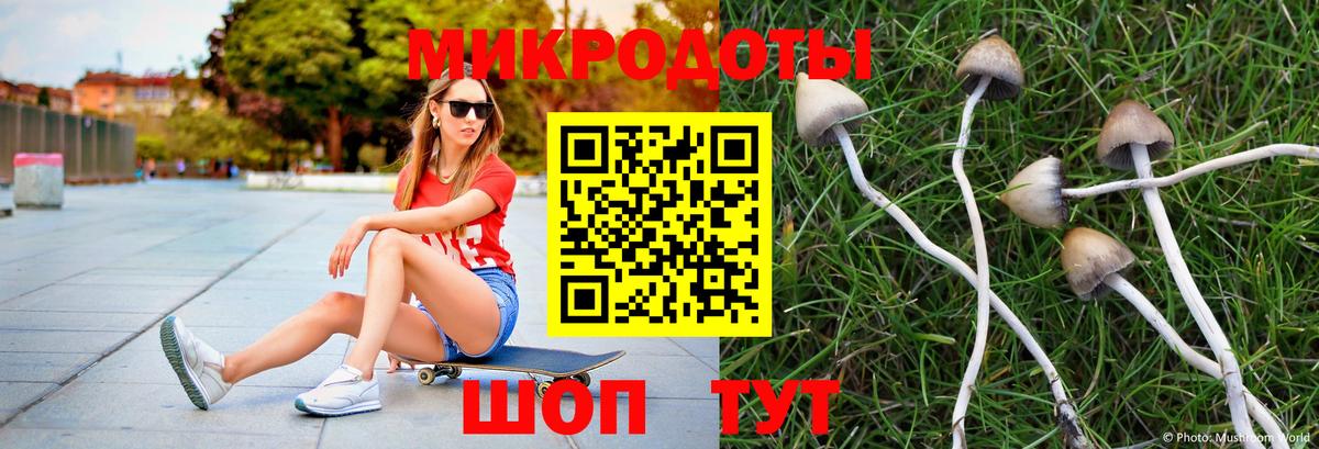 Псилоцибиновые грибы мицелий Новоуральск