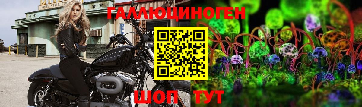 Псилоцибиновые грибы MAGIC MUSHROOMS  Вход с VPN  Новоуральск  Псилоцибиновые грибы ЛСД 